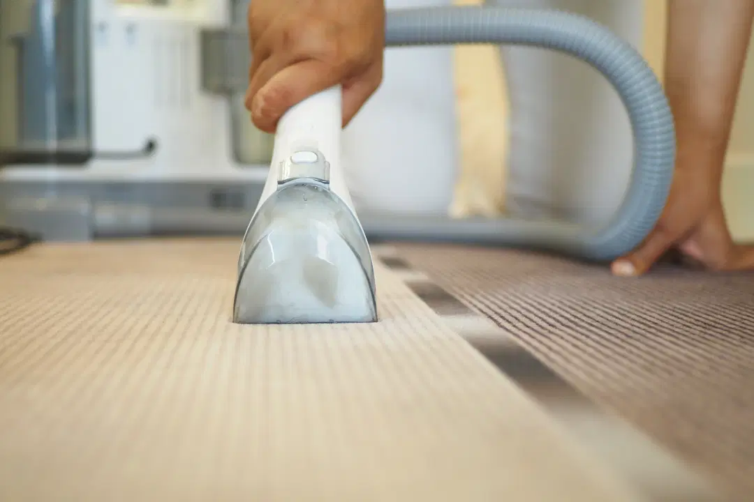 Carpet Cleaning